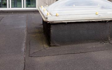 disadvantages of Donaghcloney flat roofs