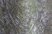 Donaghcloney fibreglass roof work